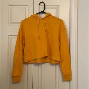 Yello/gold crop hoodie